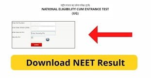 NEET UG Results 2022 Declared: Four Candidates Score 715 Out of 720