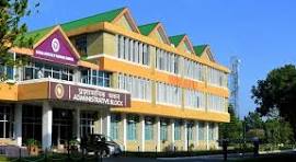 Psychographic Society - IIIT Una Himachal Pradesh 2025-2026-2027 Round 1 Closing Rank-GEN,EWS,OBC,SC,ST,Female Cut Off-CSE,Electrical iiit una